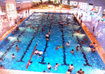Swimming Pool Complex Picture